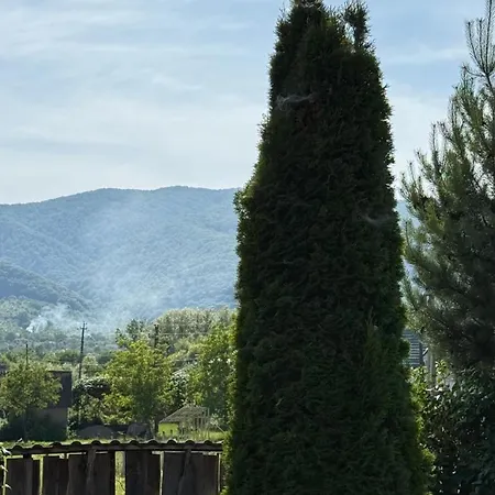 Femeli Hotel Velyatyn