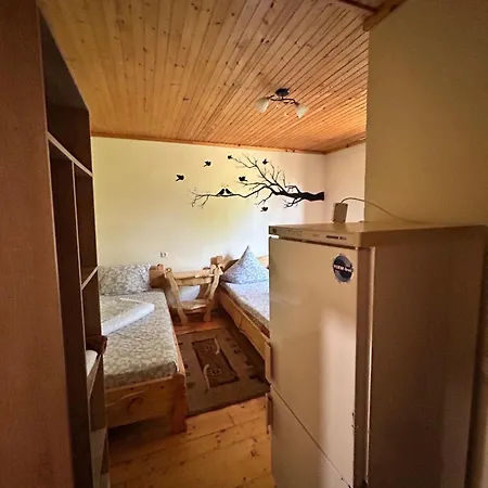 Hotel Femeli 4*