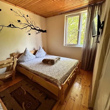 Hotel Femeli 4*